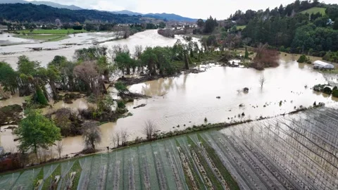 Aerial view of flooded river, New Zealand. Stock Footage 313049341
