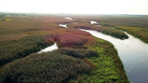 Aerial view of floodplain Stock Footage 118673190