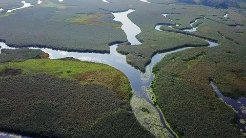 Aerial view of floodplain of the River Stock Footage 111080139