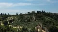 Aerial View of Florence, Italy, Beautiful Landscape, Tuscany Hills, Olive Trees HD Footage