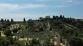 Aerial View of Florence, Italy, Beautiful Landscape, Tuscany Hills, Olive Trees HD Footage