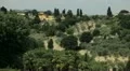 Aerial View of Florence, Italy, Beautiful Landscape, Tuscany Hills, Olive Trees HD Footage