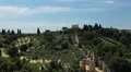 Aerial View of Florence, Italy, Landscape, Tuscany Hills, Olive Trees time lapse HD Footage
