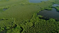 Aerial View Of Florida National Park Everglades Marshland And Swamps Sub Stock Footage