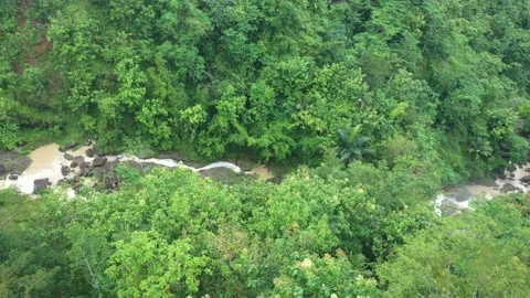 Aerial View of the flow of an Indonesian river Stock Footage 233097201