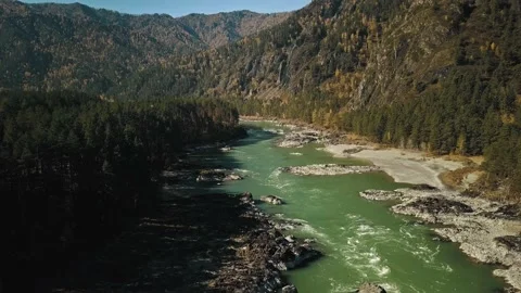 Aerial view flow of the mountain green river Katun. A beautiful autumn mountain Stock Footage 149477121