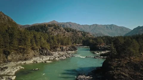 Aerial view flow of the mountain green river Katun. A beautiful autumn mountain Stock Footage 149477686