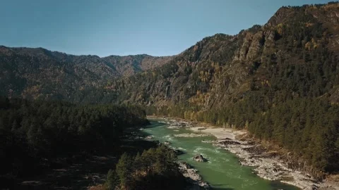 Aerial view flow of the mountain green river Katun. A beautiful autumn mountain Stock Footage 149478105