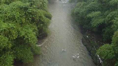 Aerial view of a flowing river flanked by lush trees. Stock Footage 277105771