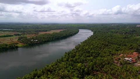 Aerial View of Flowing River Through Dense Forest in South India Stock Footage 341309398