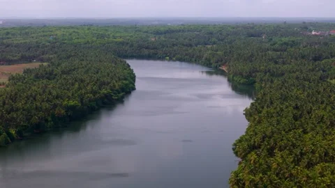 Aerial View of Flowing River Through Dense Forest in South India Stock Footage 341309413