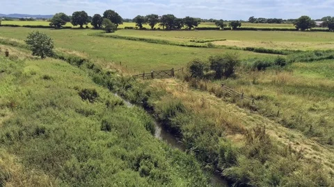 Aerial view, fly backward move. plains and water stream in reeds. Video stock 93485400