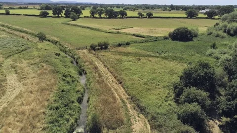 Aerial view, fly forward move. Drone panorama of plains and sheep Video stock 93484237
