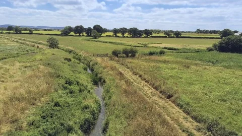 Aerial view, fly up move. Drone panorama of green grass fields. Stock Footage 93492193