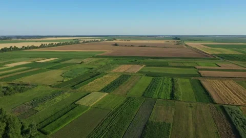 Aerial View Fly Over the Field Stock Footage 135067207