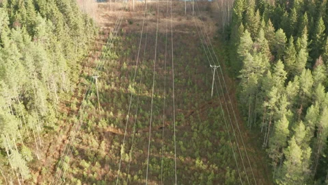 An aerial view, fly over high voltage electric power line, landscape view Stock Footage 195350971