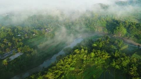Aerial view. fly over the mist and the river in the morning. Dramatic and bea Stock Footage 187606342