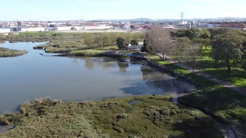 Aerial view of fly by over park near riverside Stock Footage 160423559