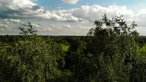 Aerial view fly over trees Stock Footage 111283821