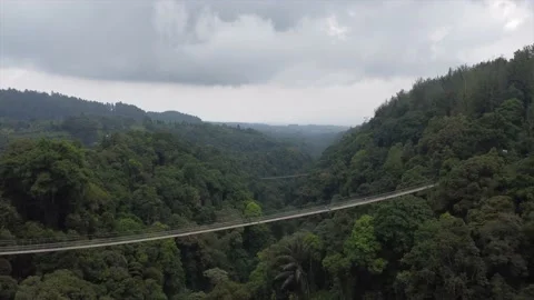 Aerial View Fly over two Suspension Bridge and Forest in Sukabumi, Indonesia Vídeos de archivo 196986172