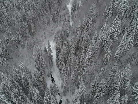 Aerial view fly over winter forrest landscape in alps dronen flight 스톡 동영상 85290780