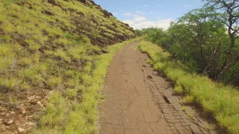 Aerial View Fly Through Old Roadway. Stock Footage 72610429
