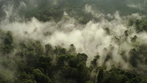 Aerial view, Flying above the clouds and mountain top. The overtake shot Stock Footage 203490550