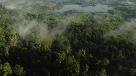 Aerial view, Flying above the clouds and mountain top. Tilt up reveal shot Stock Footage 203492955