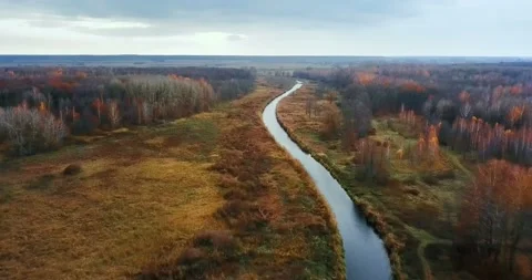 Aerial view: flying above the river in the beautiful autumn forest. Stock Footage 139394366