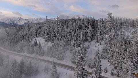 Aerial view : Flying above Winter rod with White Mountains and snow covered tree Stock Footage 87047452