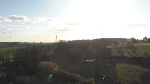 Aerial View Flying Among Flock Of Birds. Video stock 105223989