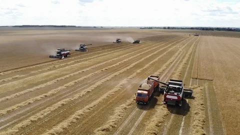 Aerial view: flying around of a combine harvester unloading grain into a tractor Stock Footage