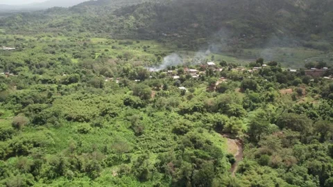 Aerial view flying backward over a cacao farm in El Guapo, Miranda, Venezuela 動画素材 303006953