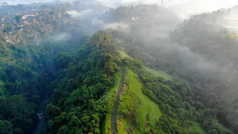 Aerial view flying backwards of a path surrounded by green and forest at sunrise Stock Footage 97441608