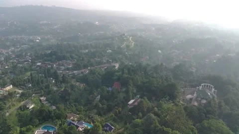 Aerial view, flying between the palms, trees in a tropical forest, Sunrise in Stock Footage 202292108