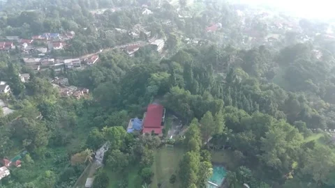 Aerial view, flying between the palms, trees in a tropical forest, Sunrise in Stock Footage 202292111