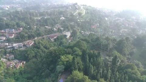 Aerial view, flying between the palms, trees in a tropical forest, Sunrise in Stock Footage 202292114