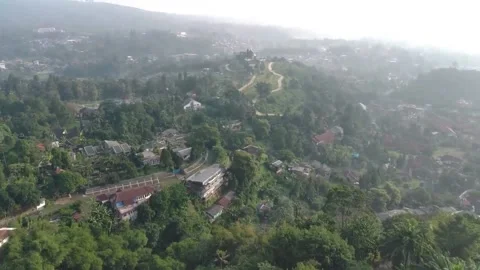 Aerial view, flying between the palms, trees in a tropical forest, Sunrise in Stock Footage 202292120