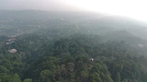 Aerial view, flying between the palms, trees in a tropical forest, Sunrise in Stock Footage 202292128