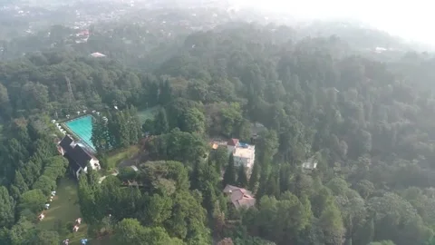 Aerial view, flying between the palms, trees in a tropical forest, Sunrise in Stock Footage 202292141
