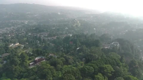 Aerial view, flying between the palms, trees in a tropical forest, Sunrise in Vídeos de archivo 202292144