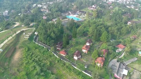 Aerial view, flying between the palms, trees in a tropical forest, Sunrise in Stock Footage 202292147