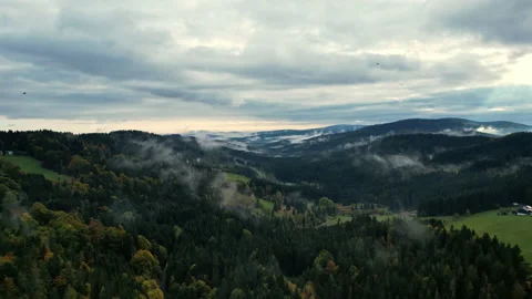 Aerial view, flying between the trees Stock Footage 194214315