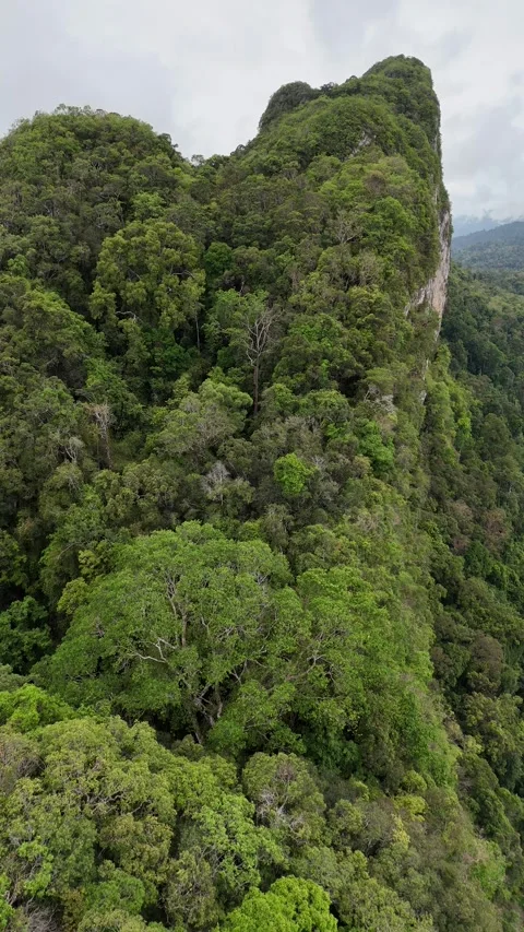 Aerial View Flying Down Lush Tropical Mountain Cliff in Khao Sok, Thailand Stock Footage 335962673