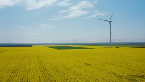 Aerial view from a flying drone of a windmill in yellow colza fields. Stock Footage 236282128