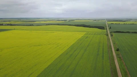 Aerial view flying forward high above a vast farm landscape. Stock Footage 275449672