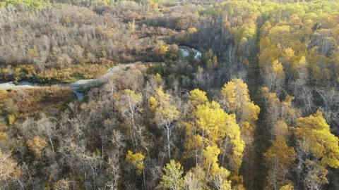 Aerial view flying forwards and looking down on to an autumn colored forest  Stock Footage 275450167