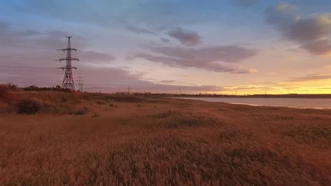 Aerial view from flying low drone of reeds field close to lake Stock Footage 87805438