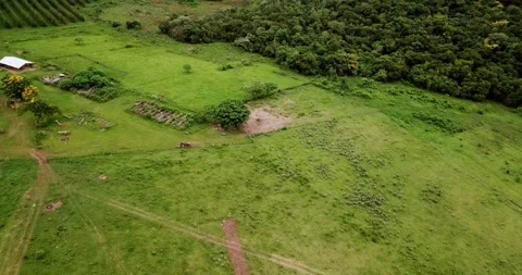Aerial view flying over amazon rainforest deforestation area in south america Stock Footage 333969234