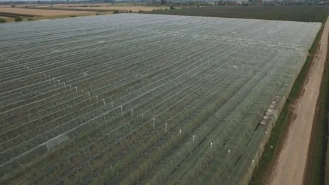 Aerial view: Flying over apple gardens 動画素材 102054350